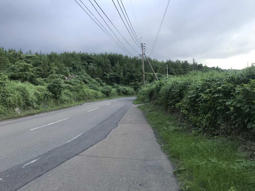 アップダウンありのなかなかハードな桜島1周コースの写真10