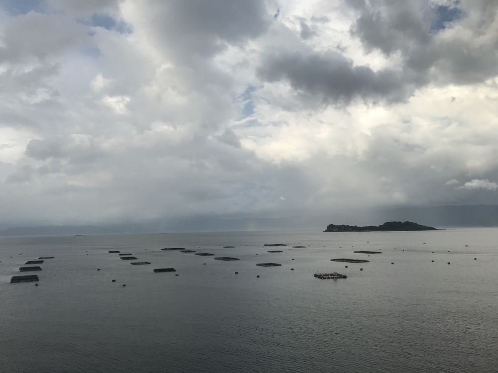 アップダウンありのなかなかハードな桜島1周コースの写真12