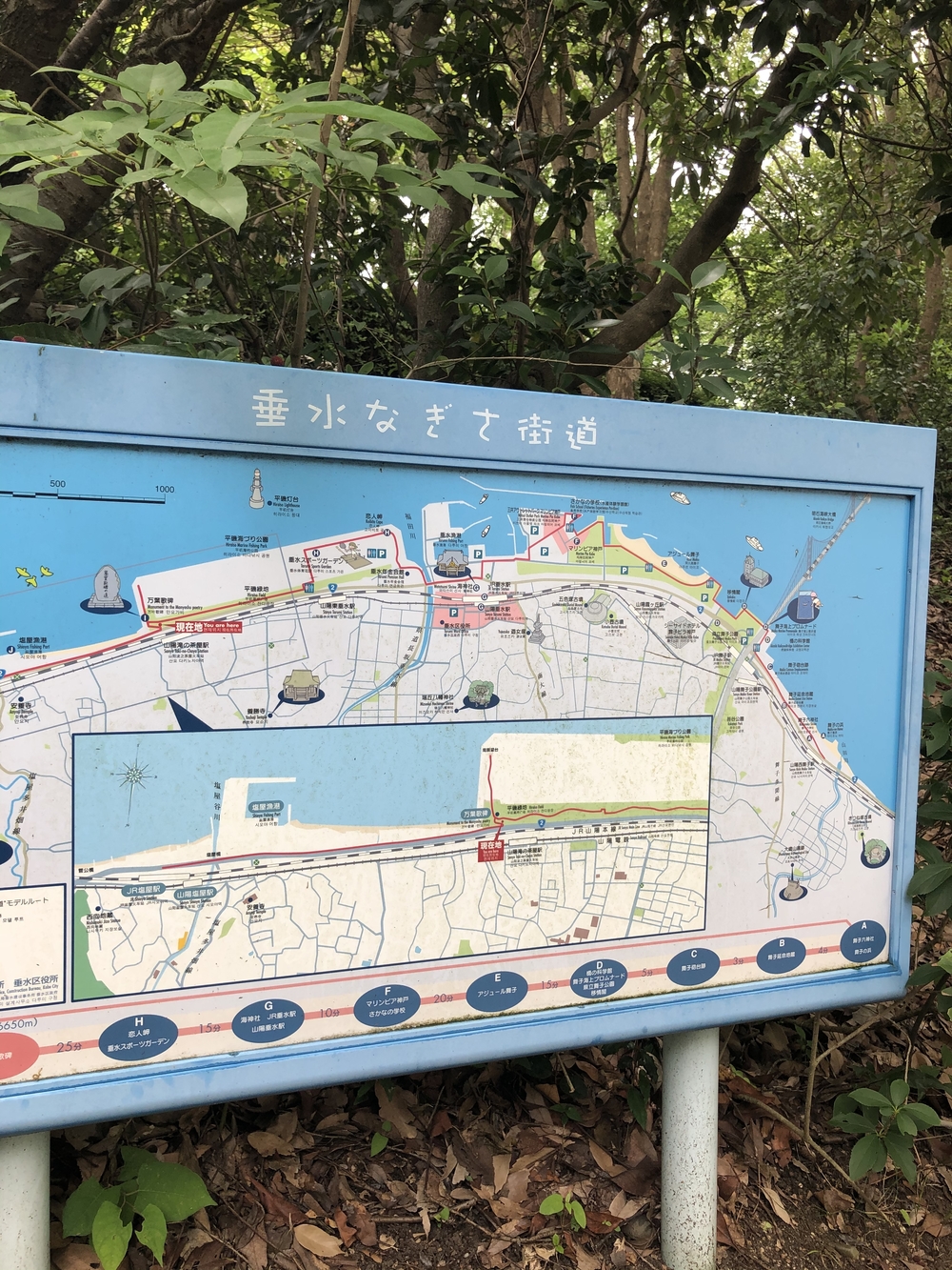 須磨浦公園〜明石大橋の写真3
