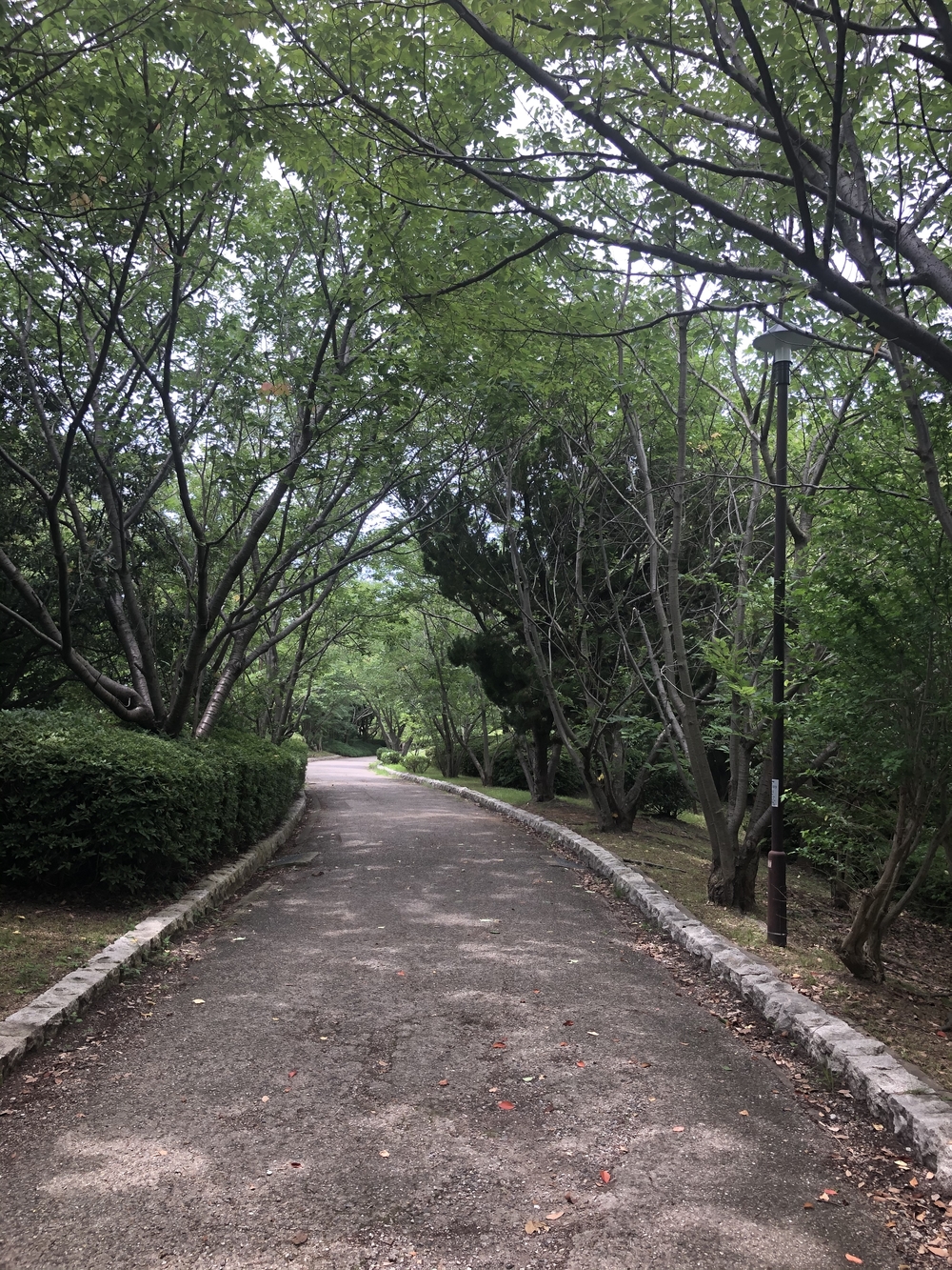 須磨浦公園〜明石大橋の写真4