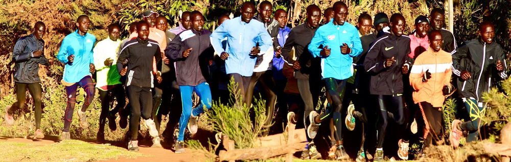 イテン - ホーム・オブ・チャンピオンズの写真11