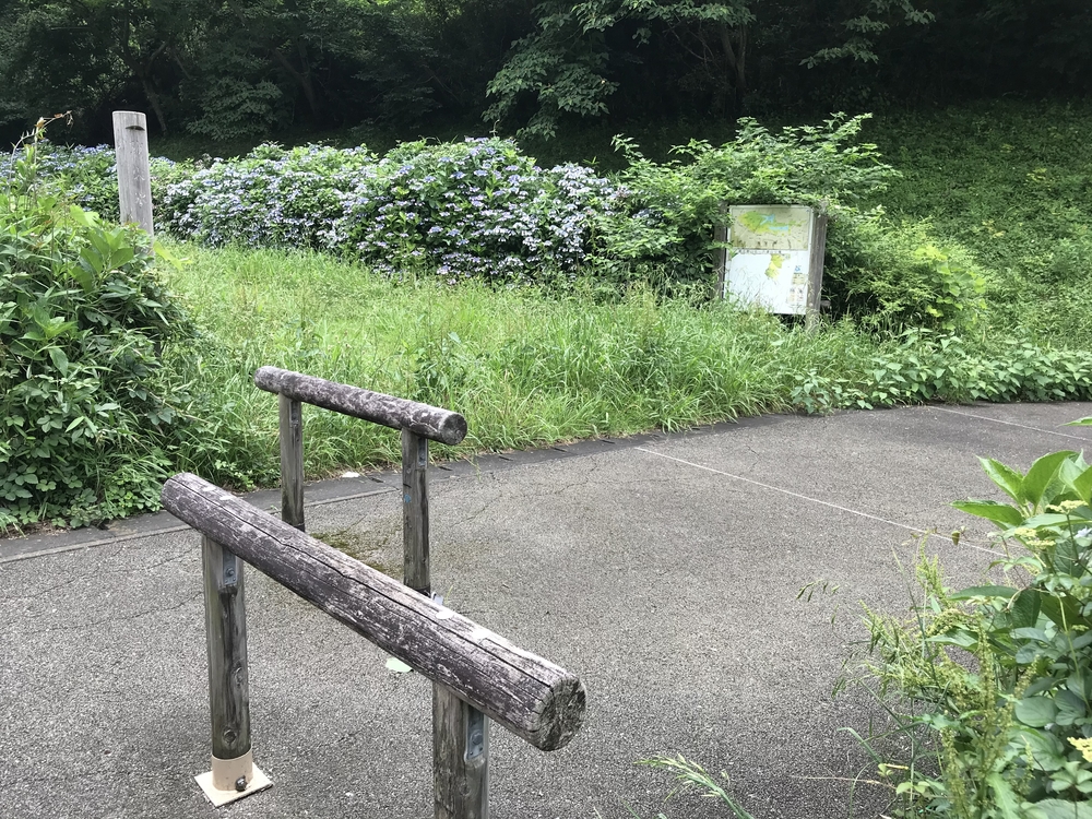 東京里山トレイル&ロード(18km)の写真5