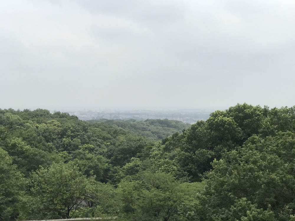 東京里山トレイル&ロード(18km)の写真8