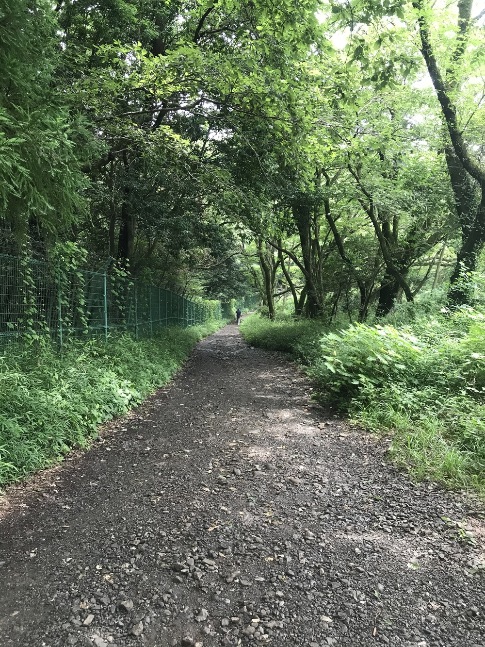 東京里山トレイル&ロード(18km)の写真10
