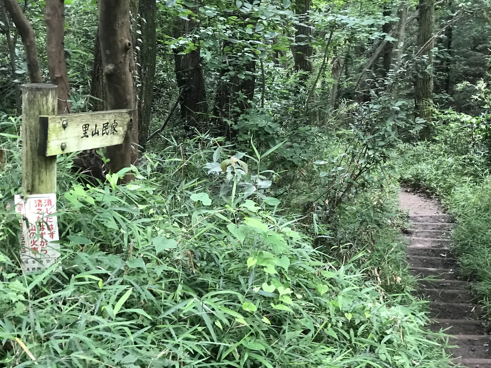東京里山トレイル&ロード(18km)の写真11