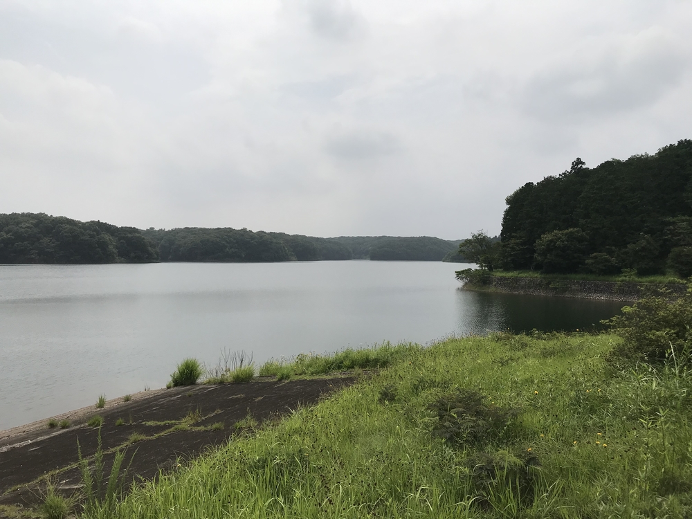 東京里山トレイル&ロード(18km)の写真20