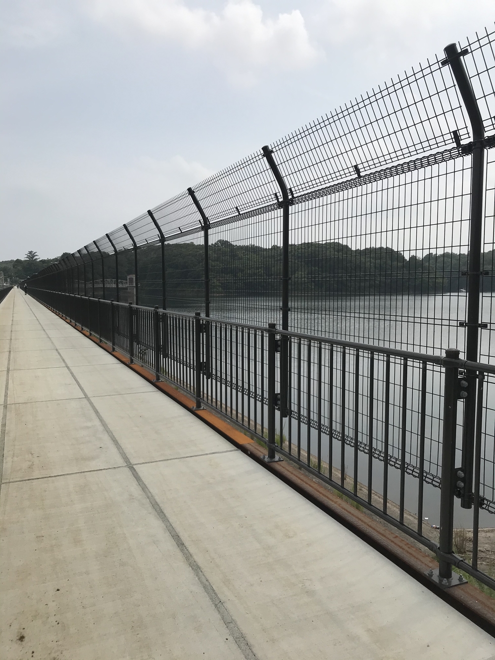 東京里山トレイル&ロード(18km)の写真22