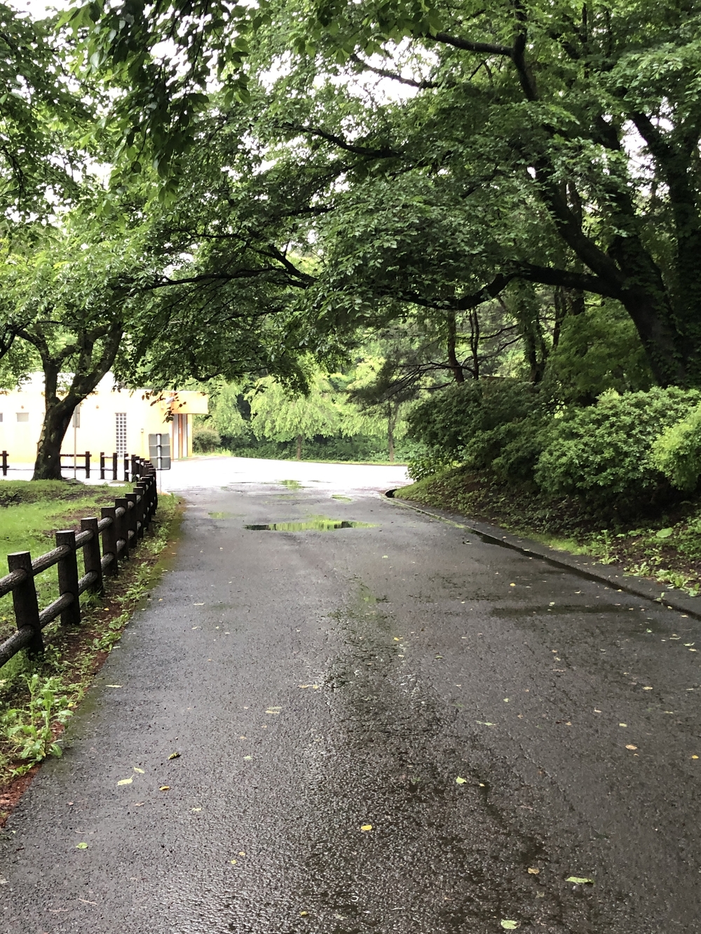 鷹巣中央公園 周回コースの写真3