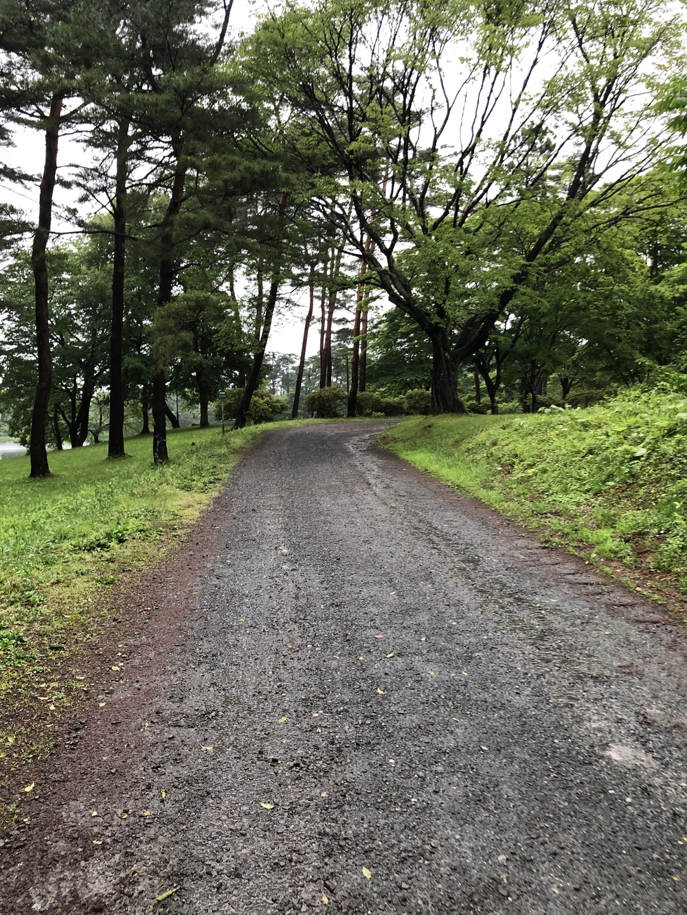 鷹巣中央公園 周回コースの写真4