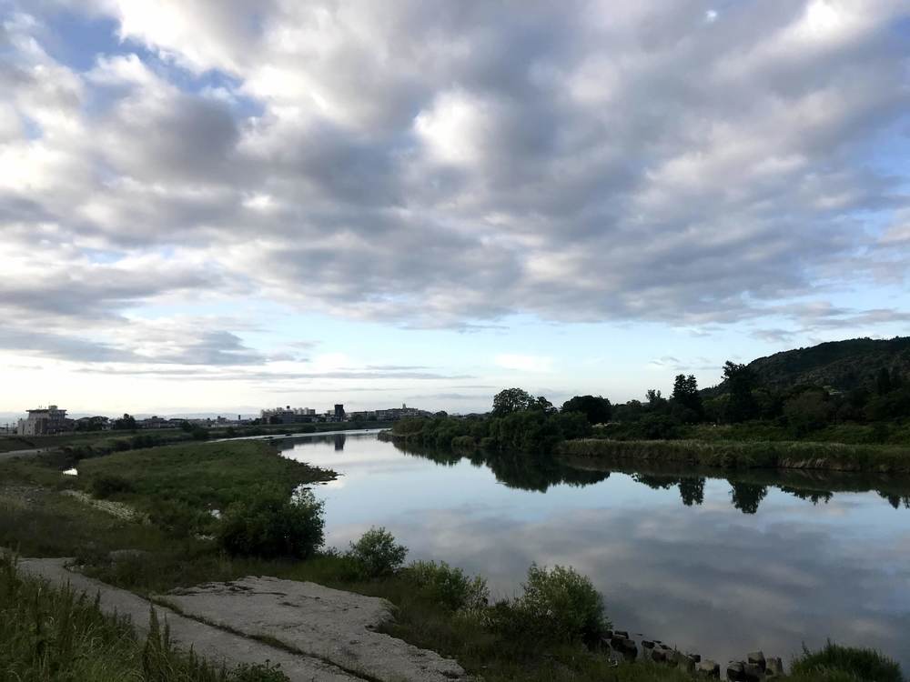 京都駅発着　京都マラソン前半コースを中心にの写真3