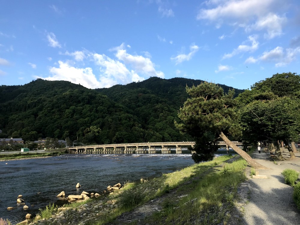 京都駅発着　京都マラソン前半コースを中心にの写真4