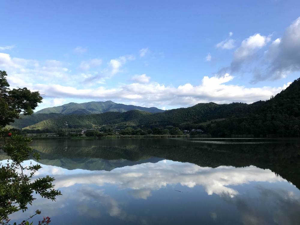 京都駅発着　京都マラソン前半コースを中心にの写真6