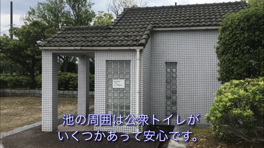 鳥取県 東郷池一周 快走路！の写真8