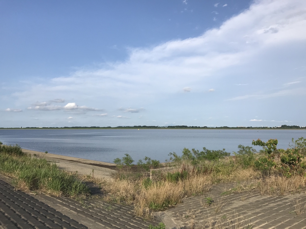 渡瀬遊水池（谷中湖）でポッキーラン（11.11km）のハートの風船お絵描きランの写真4