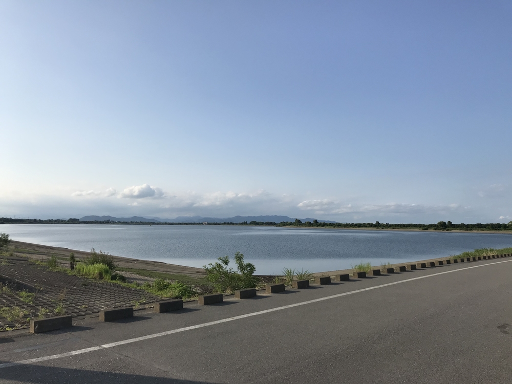 渡瀬遊水池（谷中湖）でポッキーラン（11.11km）のハートの風船お絵描きランの写真5