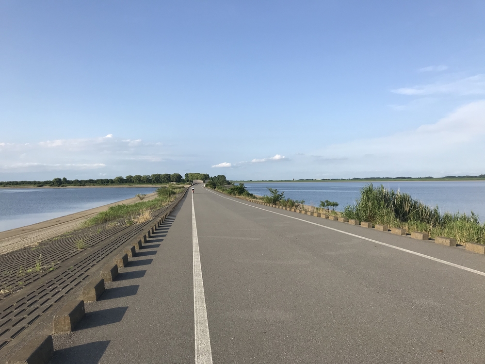 渡瀬遊水池（谷中湖）でポッキーラン（11.11km）のハートの風船お絵描きランの写真6