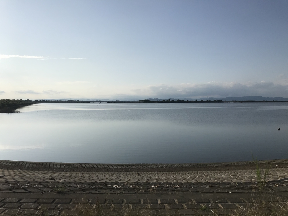 渡瀬遊水池（谷中湖）でポッキーラン（11.11km）のハートの風船お絵描きランの写真7