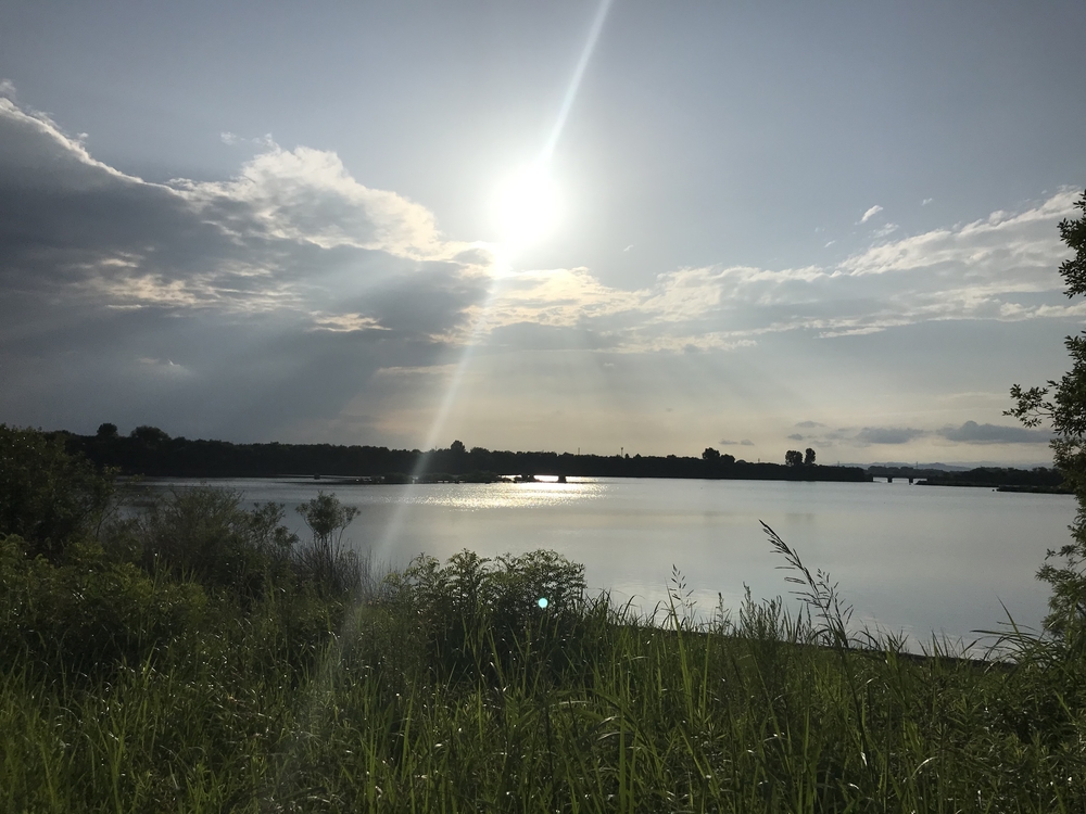 渡瀬遊水池（谷中湖）でポッキーラン（11.11km）のハートの風船お絵描きランの写真11