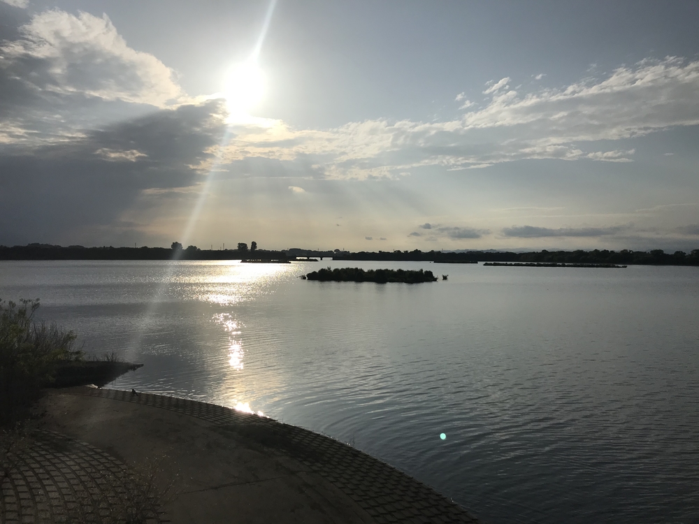 渡瀬遊水池（谷中湖）でポッキーラン（11.11km）のハートの風船お絵描きランの写真12