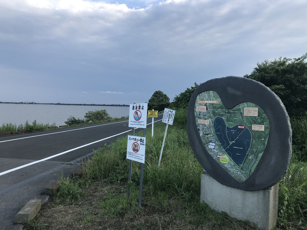 渡瀬遊水池（谷中湖）でポッキーラン（11.11km）のハートの風船お絵描きランの写真15
