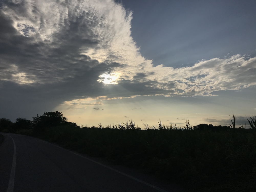 渡瀬遊水池（谷中湖）でポッキーラン（11.11km）のハートの風船お絵描きランの写真16