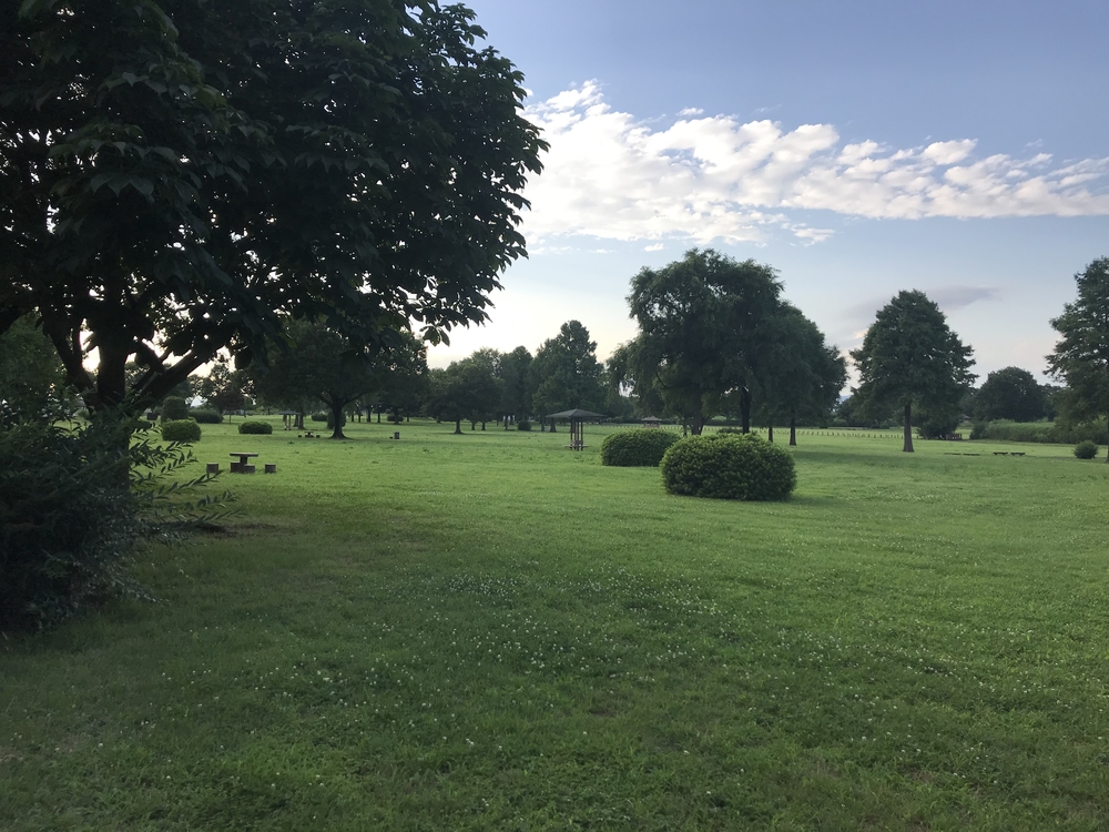 渡瀬遊水池（谷中湖）でポッキーラン（11.11km）のハートの風船お絵描きランの写真17