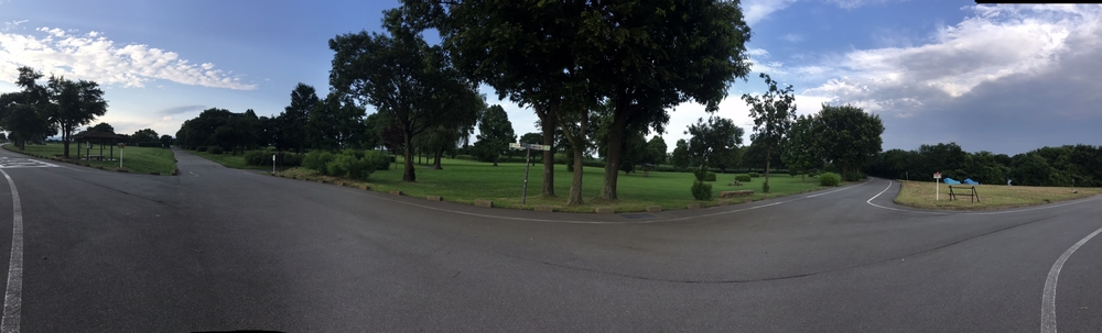 渡瀬遊水池（谷中湖）でポッキーラン（11.11km）のハートの風船お絵描きランの写真19