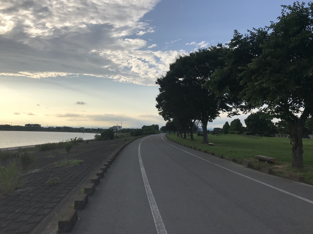 渡瀬遊水池（谷中湖）でポッキーラン（11.11km）のハートの風船お絵描きランの写真20