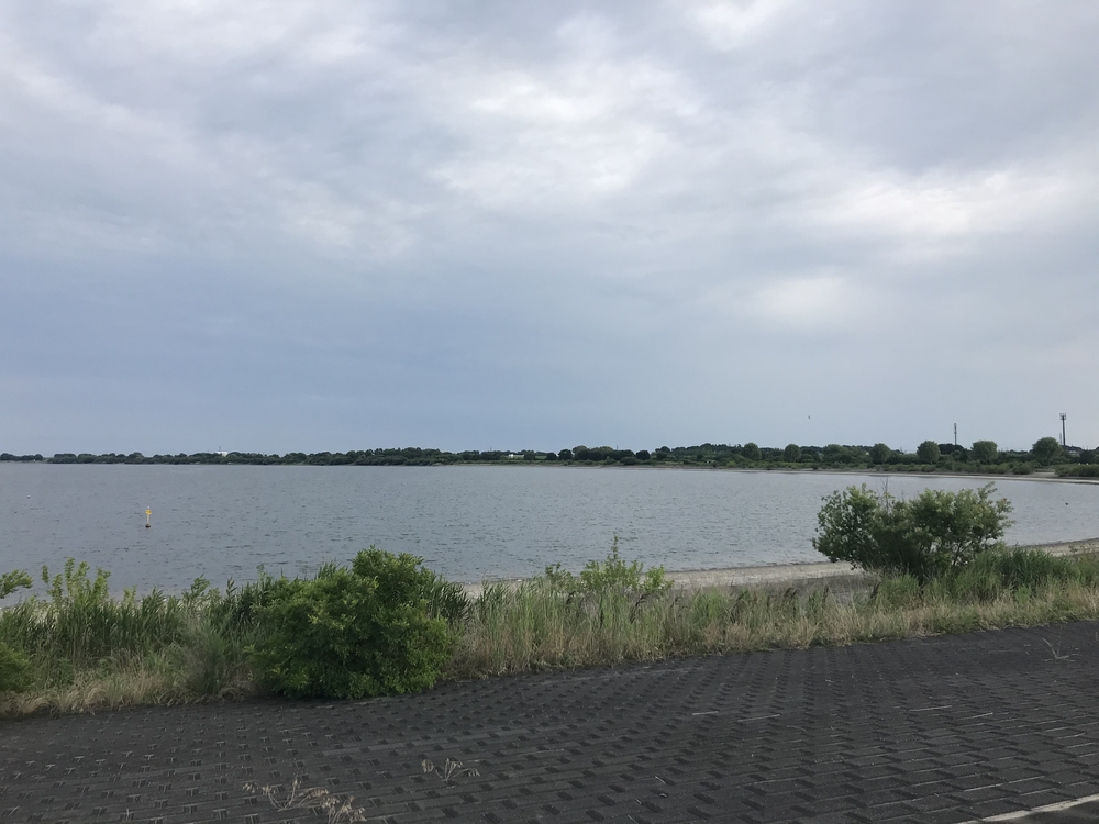渡瀬遊水池（谷中湖）でポッキーラン（11.11km）のハートの風船お絵描きランの写真21