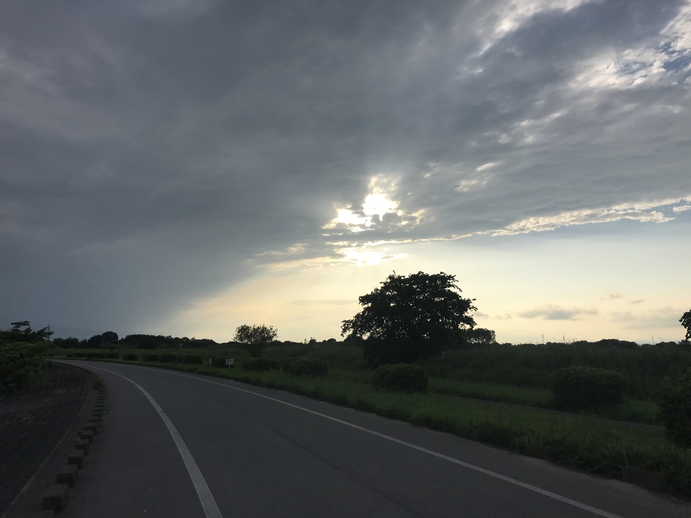 渡瀬遊水池（谷中湖）でポッキーラン（11.11km）のハートの風船お絵描きランの写真22