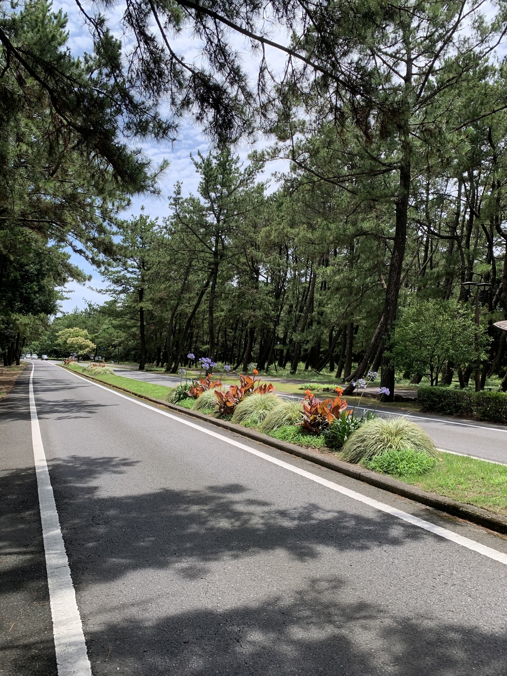 宮崎シーガイア🌴🍃💐コース(その②)の写真4