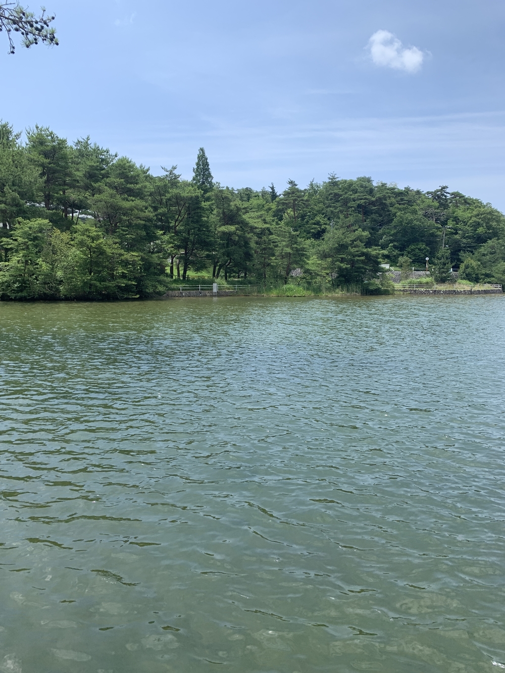 観音山、六甲山からの一気に降って有馬温泉の写真3