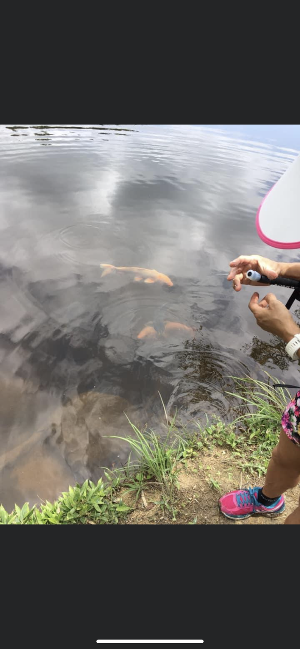 観音山、六甲山からの一気に降って有馬温泉の写真4