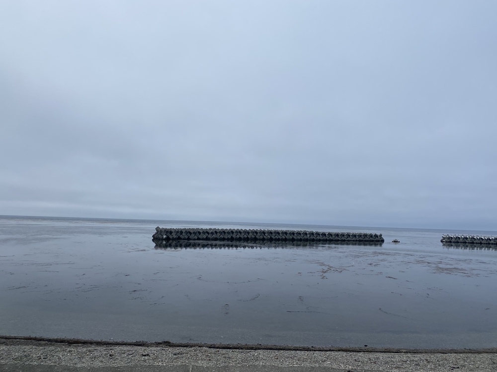 平坦で走りやすいの写真3