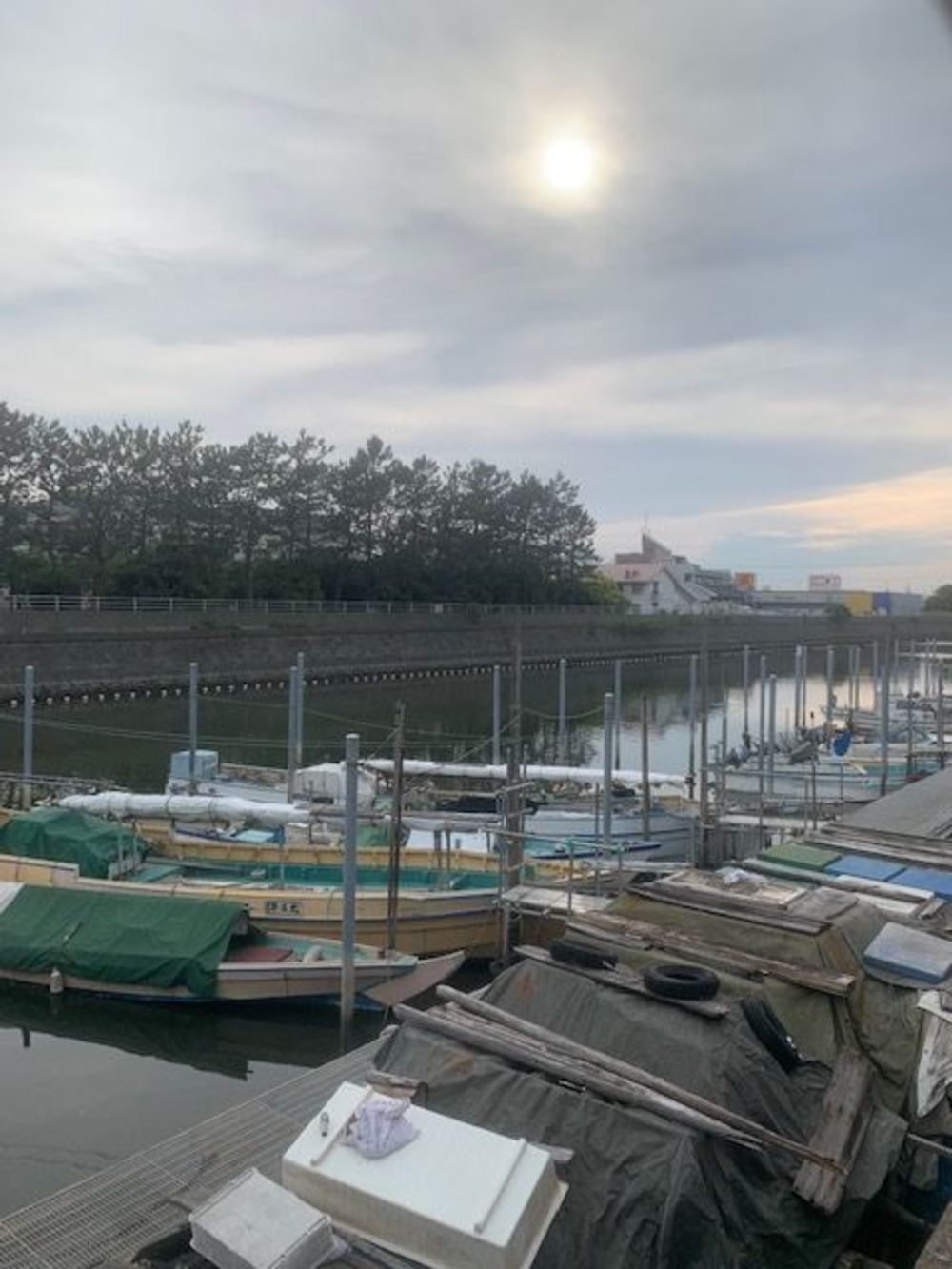 歌川広重と共にRUN　浦安旧江戸川の写真3