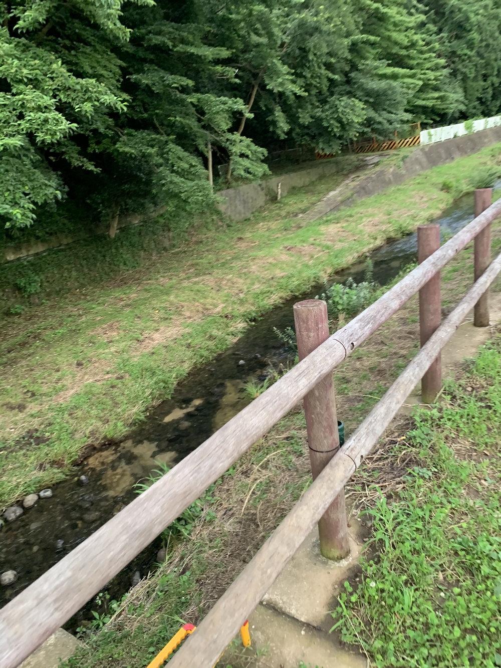 和泉川辿るだけの写真3