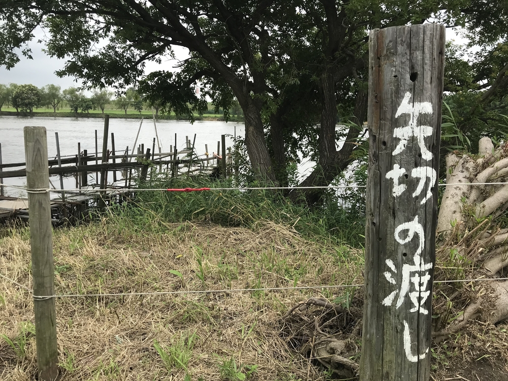 スカイツリー →帝釈天→水元公園→明神の湯の写真6