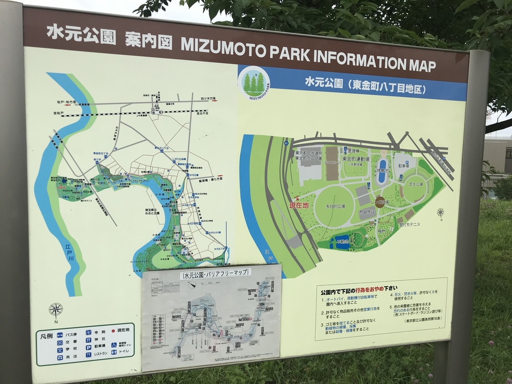 スカイツリー →帝釈天→水元公園→明神の湯の写真7