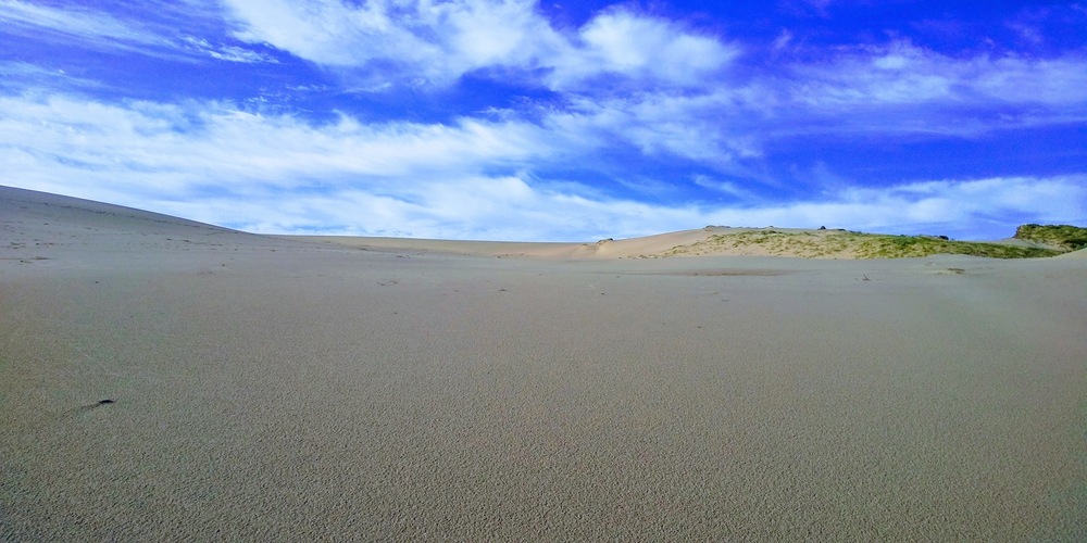 【出張朝ラン】スタバは無いけどスナバはあるよ。鳥取砂丘ラン。の写真5