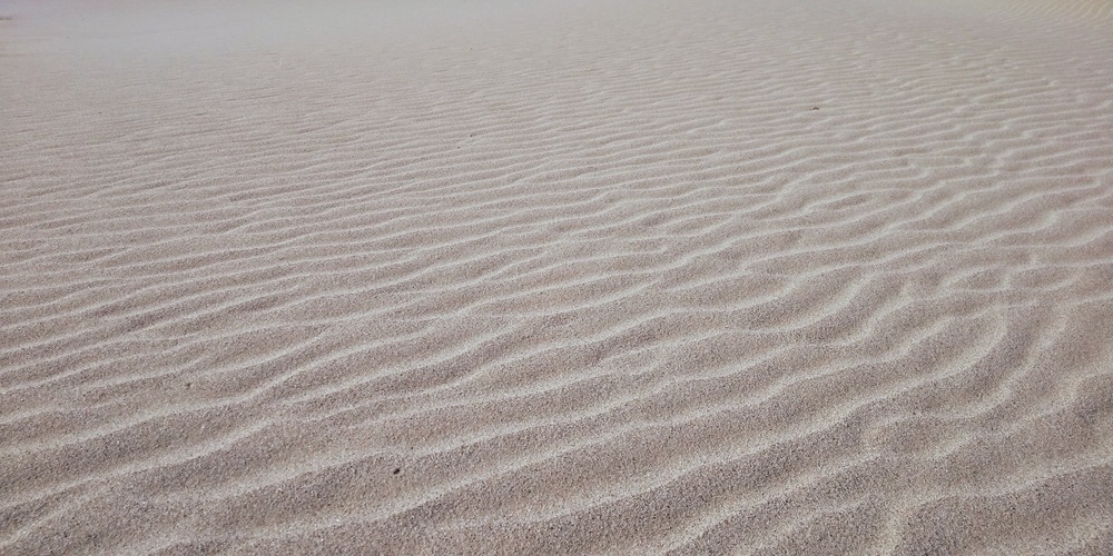 【出張朝ラン】スタバは無いけどスナバはあるよ。鳥取砂丘ラン。の写真6