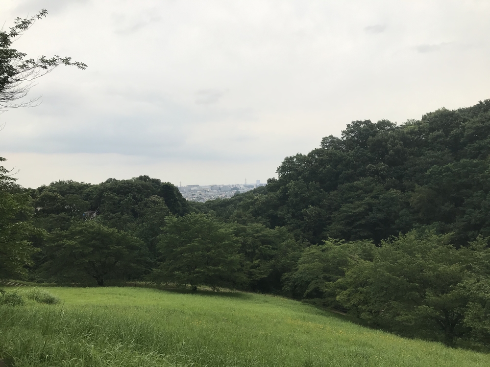 標高差100メートルでも意外にハードの写真3