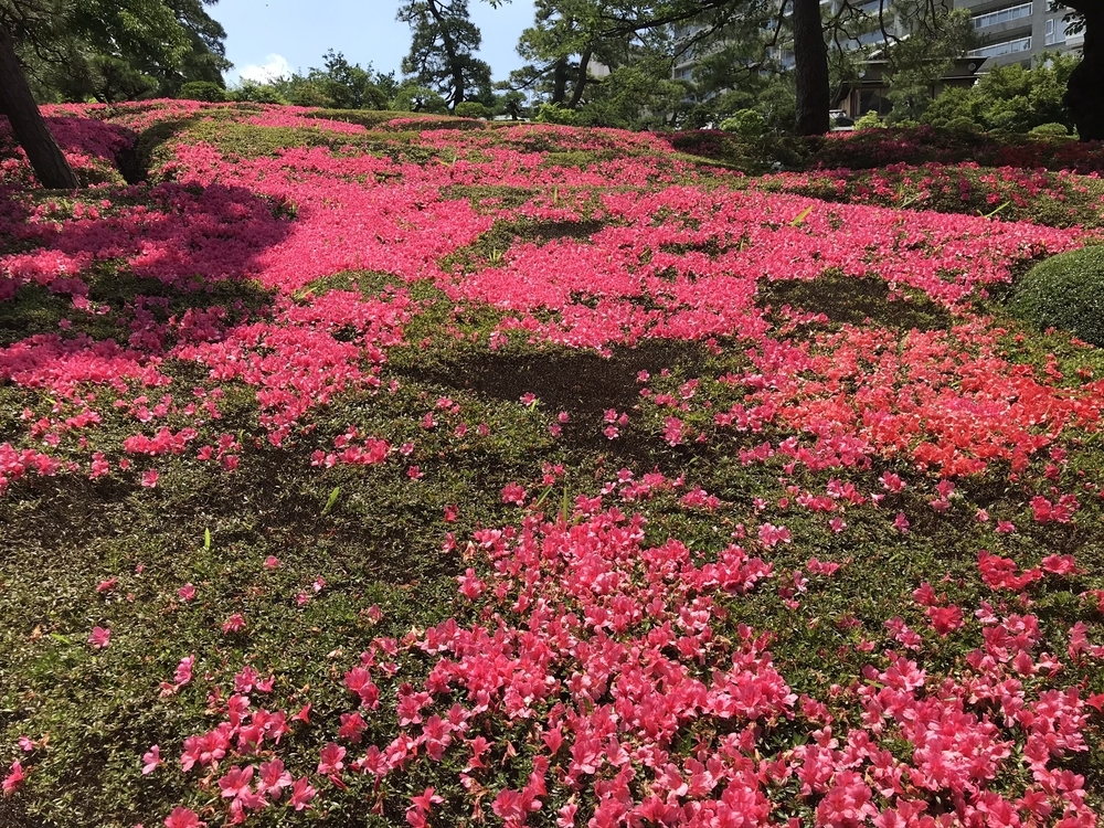 二子玉→靖国神社25k〜等々力渓谷、駒沢オリンピック公園の写真7