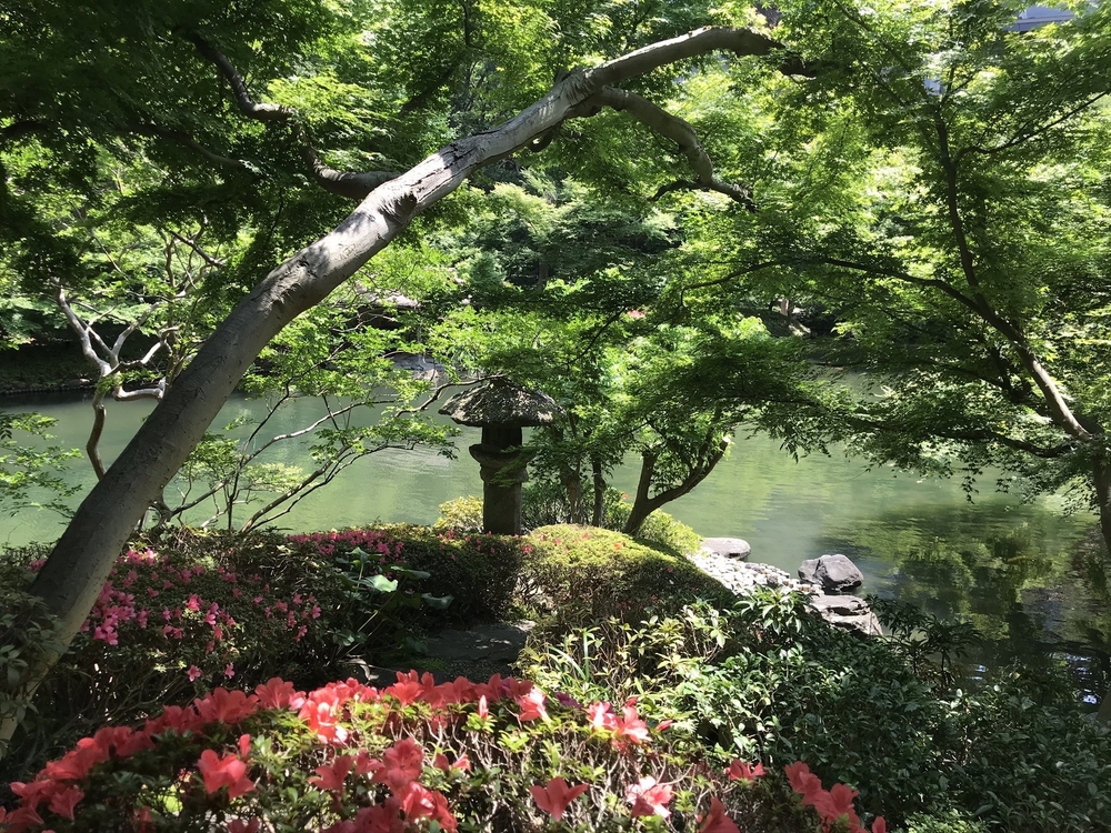 二子玉→靖国神社25k〜等々力渓谷、駒沢オリンピック公園の写真8