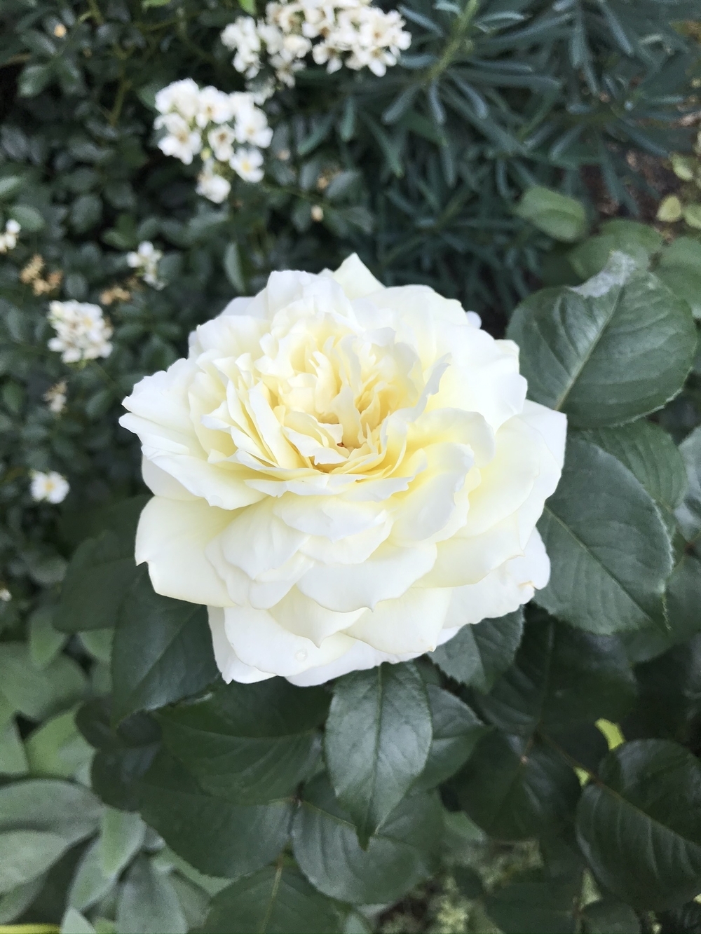 二子玉→靖国神社25k〜等々力渓谷、駒沢オリンピック公園の写真11