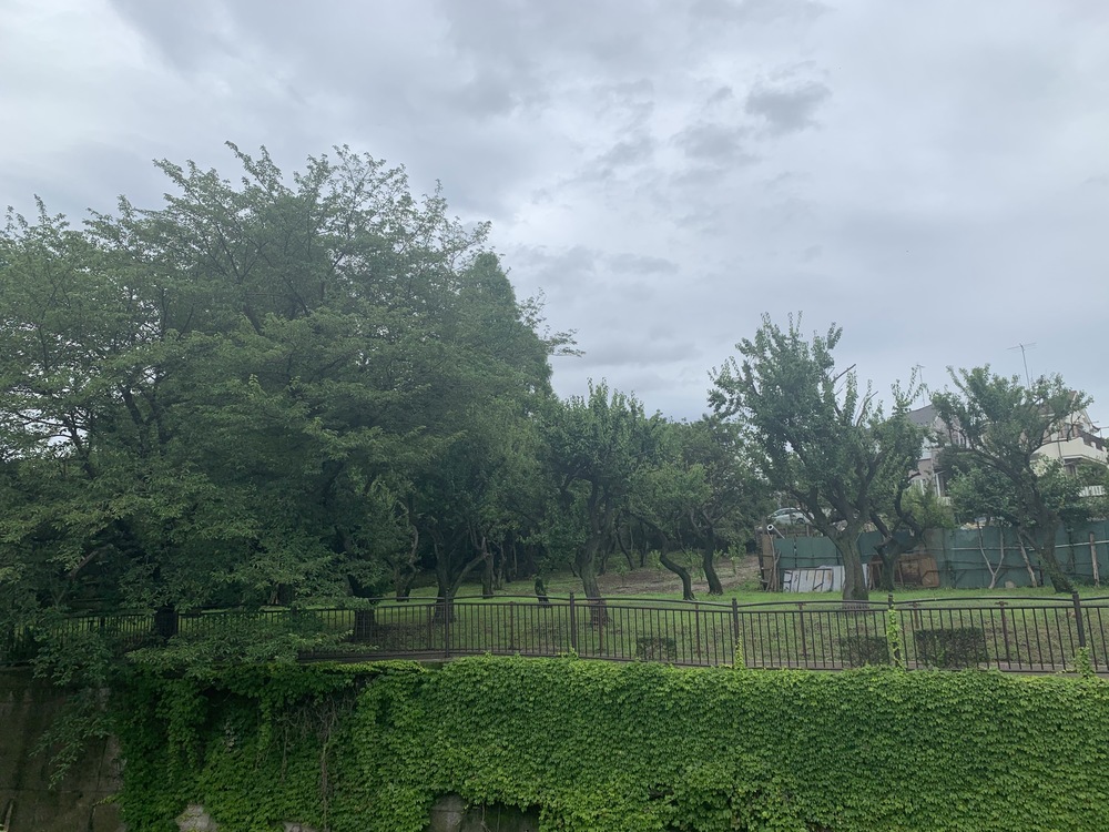 野川〜深大寺〜仙川　ぐるっとリバーサイド 21kmの写真3