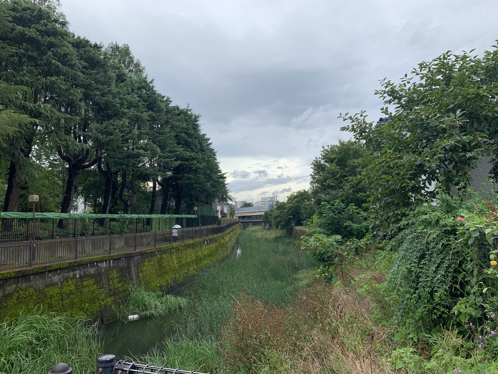 野川〜深大寺〜仙川　ぐるっとリバーサイド 21kmの写真4