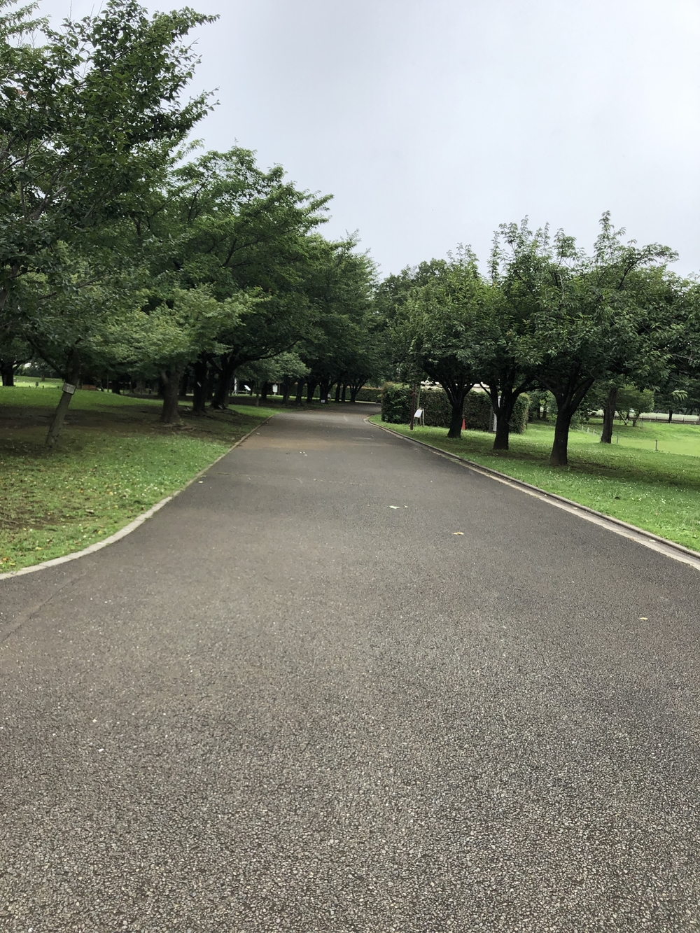 新座市総合運動公園 周回コースの写真3