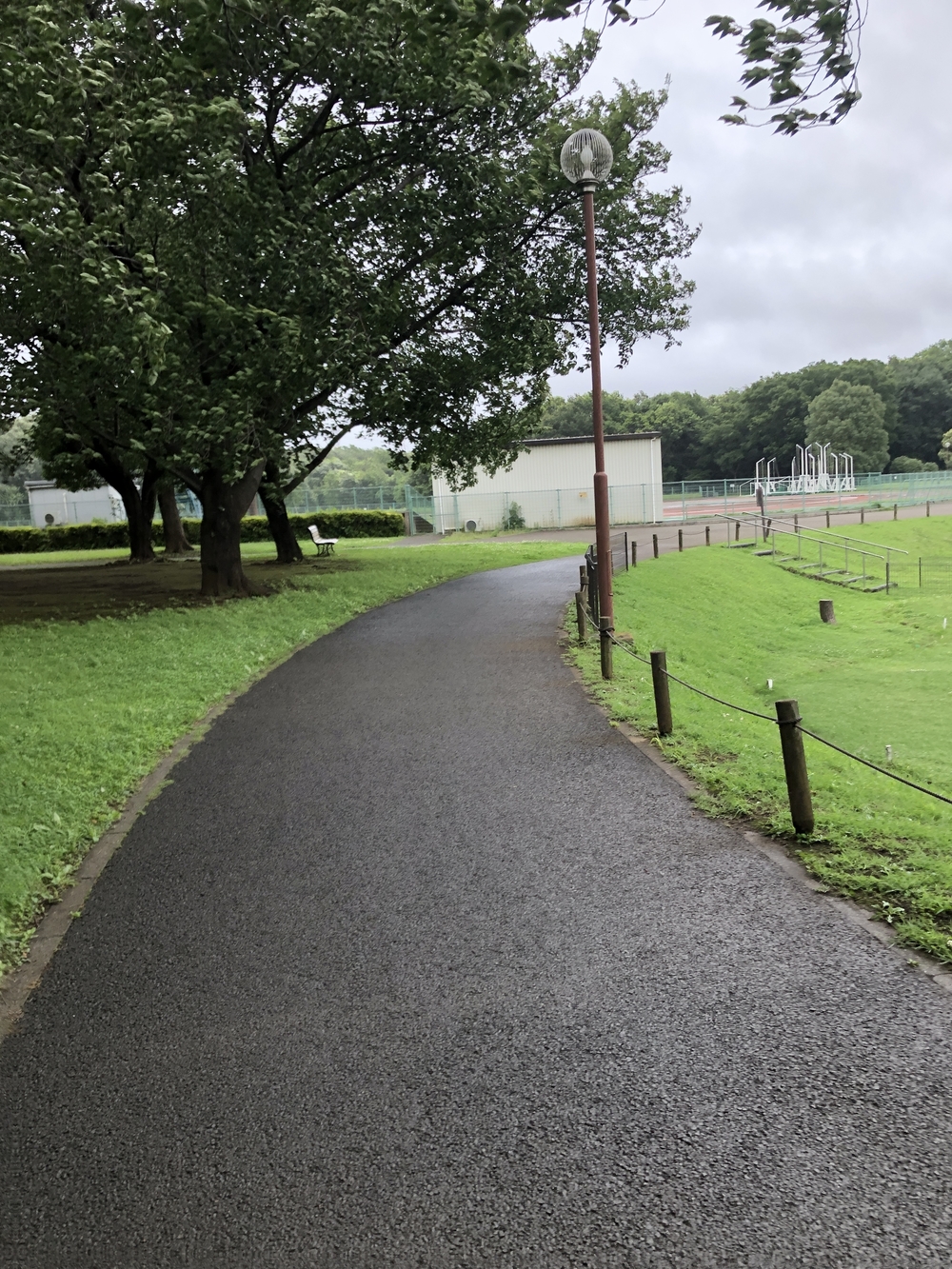 新座市総合運動公園 周回コースの写真4