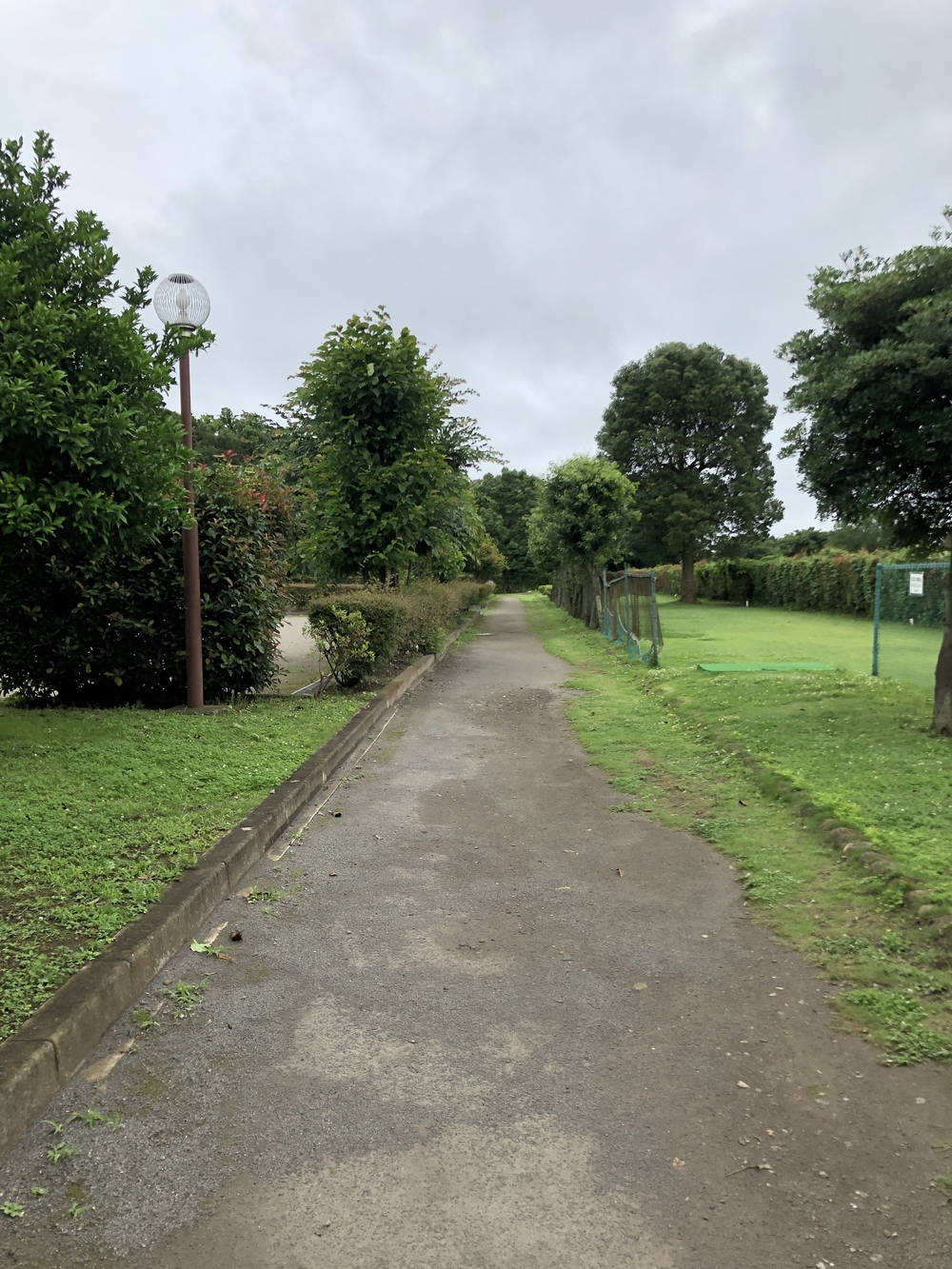 新座市総合運動公園 周回コースの写真5