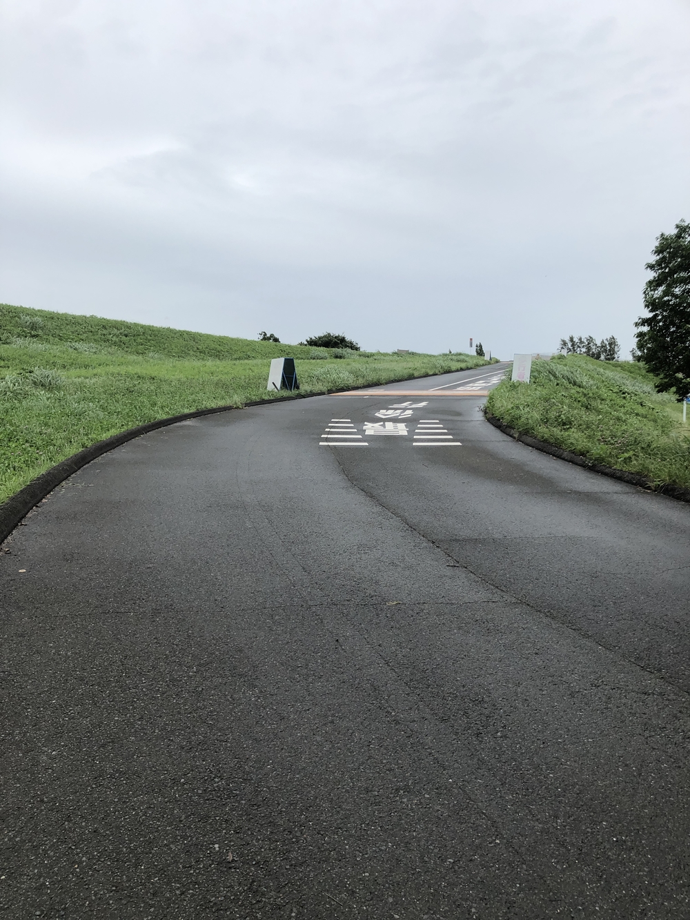 彩湖・道満グリーンパーク 周回コースの写真3